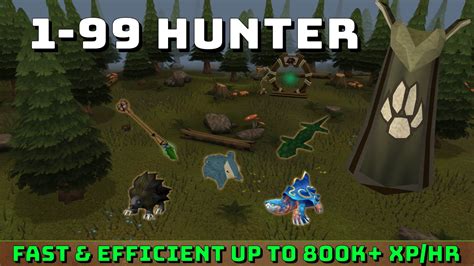 1-99 hunter rs3 - 1-99/120 Hunter Guide for Runescape 3 in 2021, fully updated with detailed methods, AFK, fast exp, and profitable methods. *TIMESTAMPS PROVIDED BELOW*0:00 In...